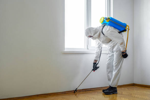 Best Mosquito Control Services  in Southmont, NC