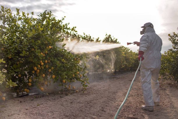 Best Bed Bug Extermination  in Southmont, NC