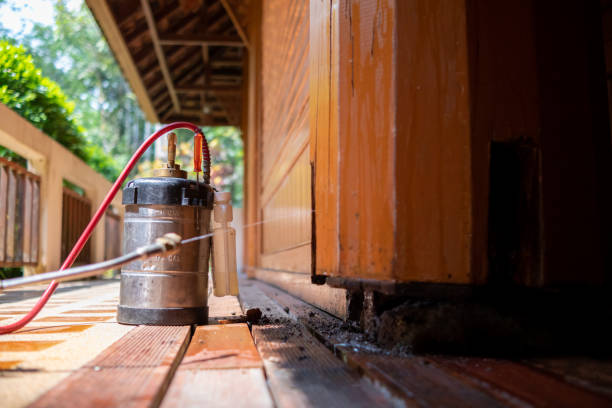 Best Rat Extermination Near Me  in Southmont, NC