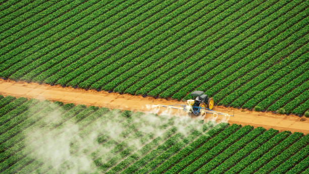 Pest Control Cost in Southmont, NC