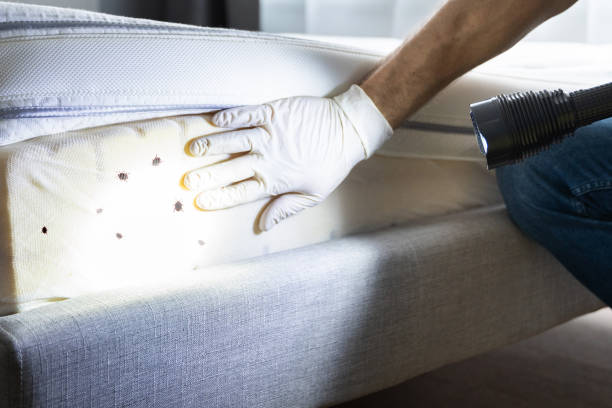 Best Best Pest Control Companies  in Southmont, NC
