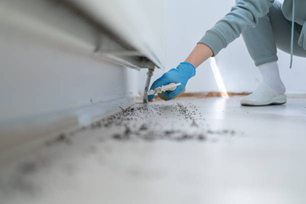 Best Pest Control Treatment  in Southmont, NC