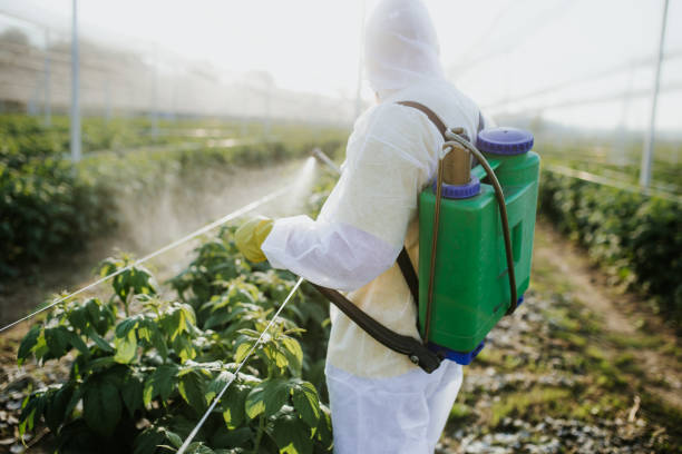 Best Rat Extermination Near Me  in Southmont, NC